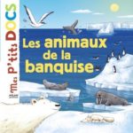 Les animaux de la banquise