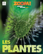 Zoom! Gros plan sur... Les plantes