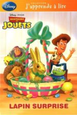 Histoire de jouets #03 : lapin surprise-OUT OF PRINT