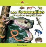 Les Grenouilles et autres amphibiens