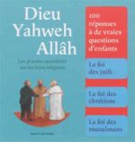 Dieu, Yahweh, Allâh : les grandes questions sur les trois religions N. éd.