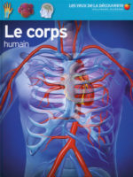 Le corps humain