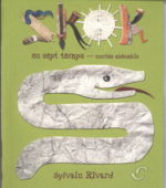 Skok en sept temps : contes abénakis