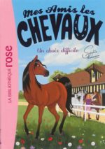 Mes Amis Les Chevaux 3