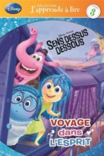 Voyage dans l'esprit-OUT OF PRINT