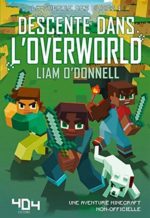 Descente dans l'Overworld #01