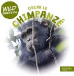 Oscar le chimpanzé