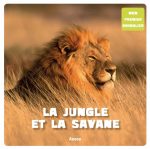 La jungle et la Savane