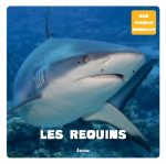 Requins