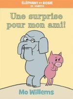 Une surprise pour mon ami!
