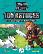 100 astuces et anecdotes sur Minecraft