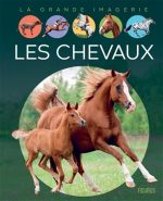 Les Chevaux N. éd.