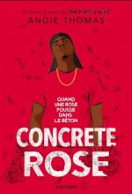 Concrete rose : quand une rose pousse dans le béton