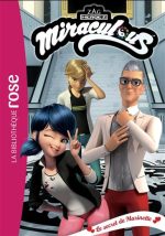 Le Secret de Marinette #41