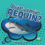 Qu'est-Ce Qu'un Requin?
