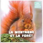 La Montagne et la forêt