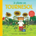 Je plante un tournesol