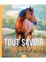 Tout savoir sur les chevaux et poneys