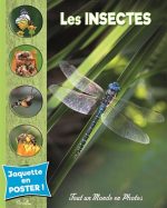 Les insectes