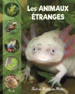 Les animaux étranges