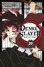 Demon slayer #20