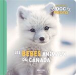 Bébés animaux du Canada