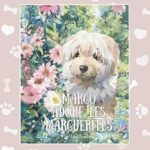 Margo adore les marguerites